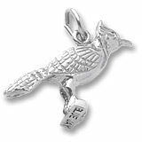 14k White Gold Blue Jay Charm by Rembrandt Charms