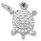 Rembrandt Turtle Charm, 14K White Gold