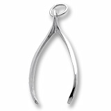 Rembrandt Wishbone Charm, 14K White Gold