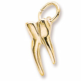 Rembrandt Tooth Charm, 10k Yellow Gold