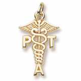 Gold Plate Physical Therapy Assistant Charm by Rembrandt Charms