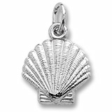 14K White Gold Clamshell Charm by Rembrandt Charms