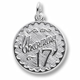 14k White Gold Charming 17 Birthday by Rembrandt Charms