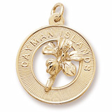 10K Gold Grand Cayman Hibiscus Charm by Rembrandt Charms