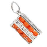 14K White Gold Florida Oranges Charm by Rembrandt Charms