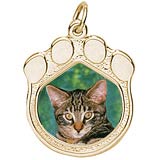 Gold Plated Pet Paw Print PhotoArt® Charm by Rembrandt Charms