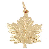 Rembrandt Maple Leaf Charm, 14k Yellow Gold