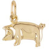 Rembrandt Pig Charm, 10K Yellow Gold