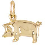 Rembrandt Pig Charm, 14K Yellow Gold