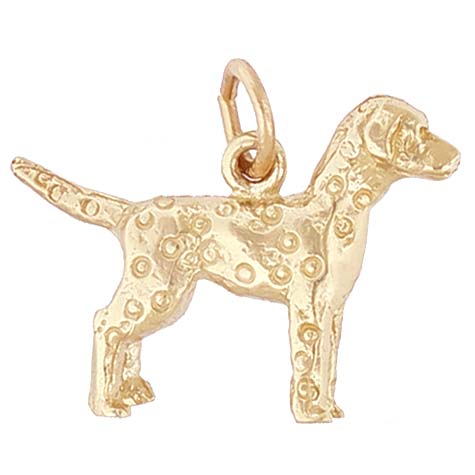14K Gold Dalmatian Charm by Rembrandt Charms 14K Gold Dalmatian Charm by Rembrandt Charms