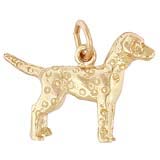 Gold Plate Dalmatian Charm by Rembrandt Charms
