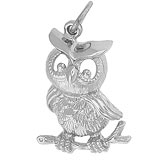 14K White Gold Horned Owl Charm by Rembrandt Charms
