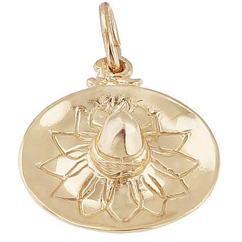 14K Gold Sombrero Charm by Rembrandt Charms