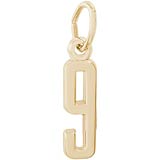 Gold Plate That's My Number Nine Charm by Rembrandt Charms