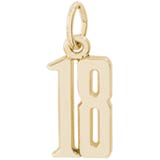 14K Gold That’s My Number Eighteen Charm by Rembrandt Charms