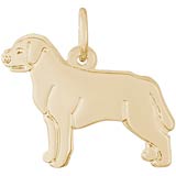 10k Gold Labrador Retriever Charm by Rembrandt Charms