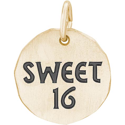 Sweet 16 hot sale charm necklace