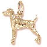 Gold Plate Weimaraner Dog Charm by Rembrandt Charms
