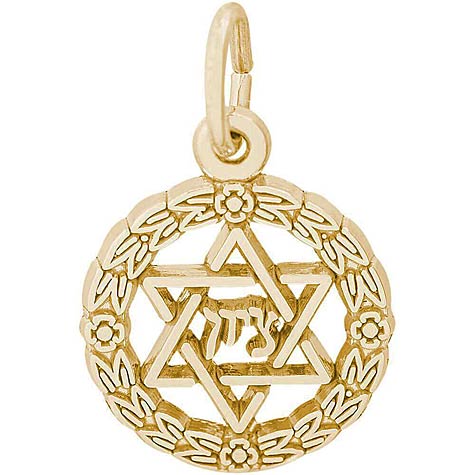 14K Gold Star of David Wreath Charm by Rembrandt Charms 14K Gold Star of David Wreath Charm by Rembrandt Charms