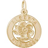 14K Gold Canadian Charms in Sterling Silver and Gold