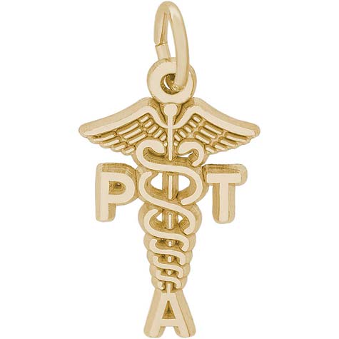 10K Gold Physical Therapy Assistant Charm by Rembrandt Charms
