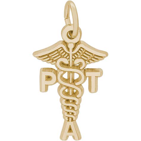 Gold Plate Physical Therapy Assistant Charm by Rembrandt Charms Gold Plate Physical Therapy Assistant Charm by Rembrandt Charms