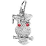 14K White Gold Graduation Owl Charm by Rembrandt Charms
