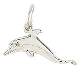 14K White Gold Dolphin Charm by Rembrandt Charms
