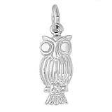 14K White Gold Screech Owl Charm by Rembrandt Charms