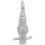 Rembrandt Long Eared Owl Charm, 14K White Gold