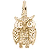 14K Gold Owl, Wise Charm