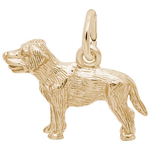 14K Gold Labrador Retriever Charm by Rembrandt Charms 14K Gold Labrador Retriever Charm by Rembrandt Charms