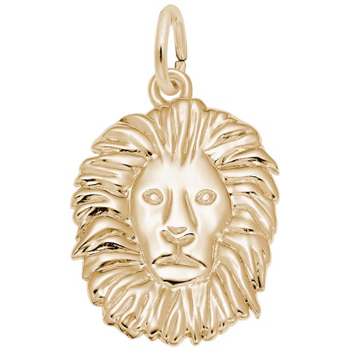 Gold lion charm deals for bracelet