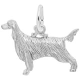 14K White Gold Irish Setter Charm by Rembrandt Charms