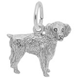 Sterling Silver Boykin Spaniel Dog Charm