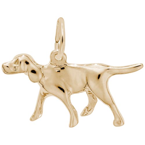 gold dog charms