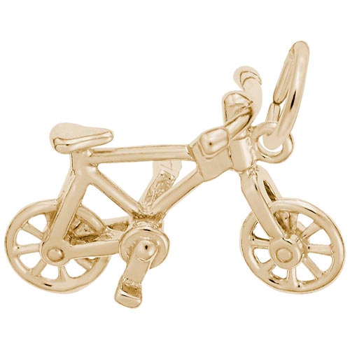 10K Gold Bicycle Charm by Rembrandt Charms 10K Gold Bicycle Charm by Rembrandt Charms