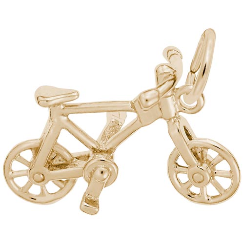 Rembrandt Bicycle Charm, 14K Yellow Gold