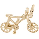 Rembrandt Bicycle Charm, Gold Plate