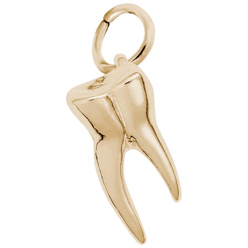 Rembrandt Tooth Charm, 14k Yellow Gold
