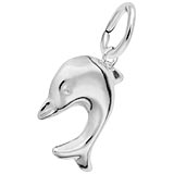 14K White Gold Small Dolphin Charm by Rembrandt Charms