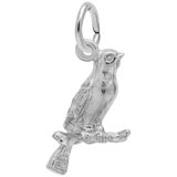 14K White Gold Canary Charm by Rembrandt Charms