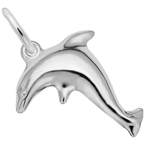 14K White Gold Dolphin Charm by Rembrandt Charms 14K White Gold Dolphin Charm by Rembrandt Charms