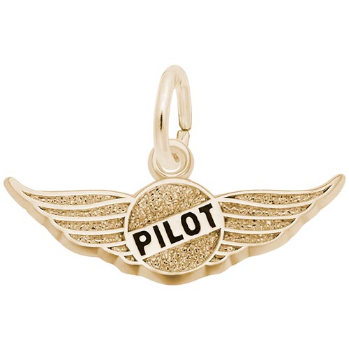 14K Gold Pilot's Wings Charm by Rembrandt Charms 14K Gold Pilot's Wings Charm by Rembrandt Charms