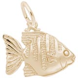 Gold Plate Angelfish Charm by Rembrandt Charms