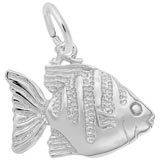 14K White Gold Angelfish Charm by Rembrandt Charms