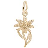 Gold Plate Edelweiss Flower Charm by Rembrandt Charms