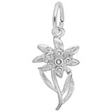 14K White Gold Edelweiss Flower Charm by Rembrandt Charms