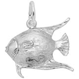 14K White Gold Angelfish Charm by Rembrandt Charms