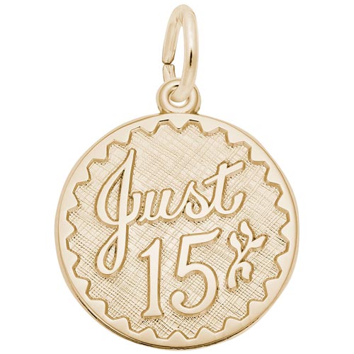 14k Gold Just 15 Birthday Charm by Rembrandt Charms